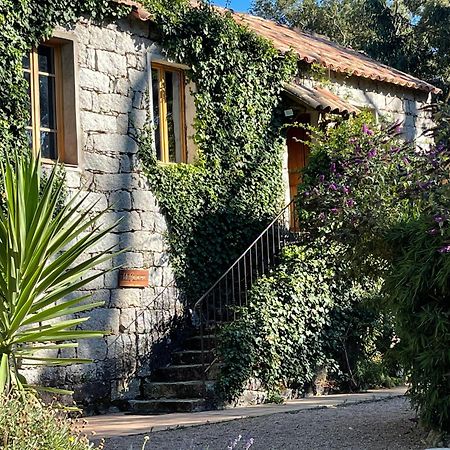 Chambres d'Hôtes Barraconu Porto-Vecchio (Corsica) Exterior foto