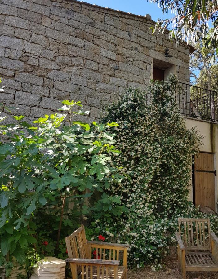 Chambres d'Hôtes Barraconu Porto-Vecchio (Corsica) Exterior foto